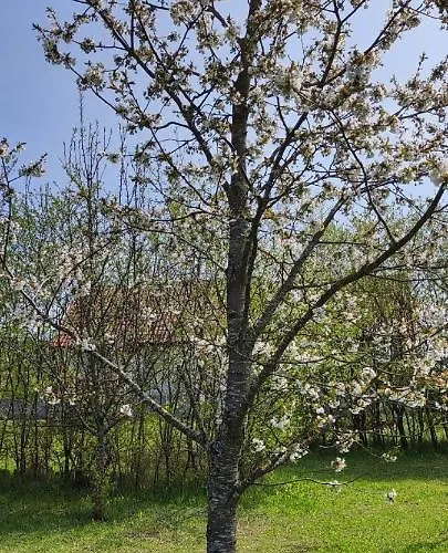 Gosciniec Mazurek , Apartament Przy Jeziorze Niegocin